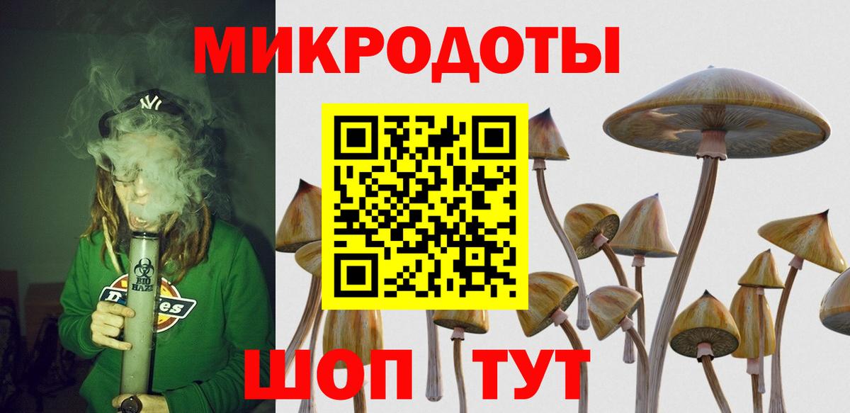 Псилоцибиновые грибы MAGIC MUSHROOMS Куйбышев
